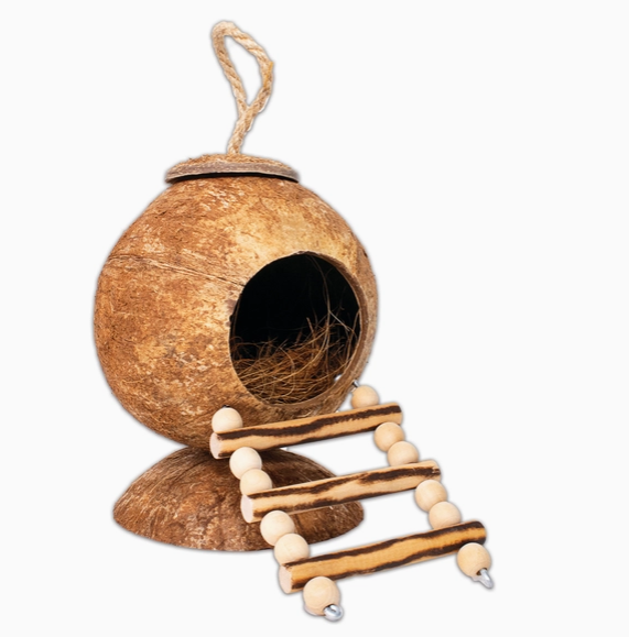 Coconut Hut